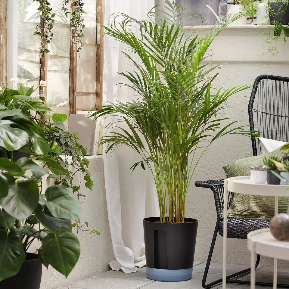 part: VÅRDTRÄD self-watering plant pot