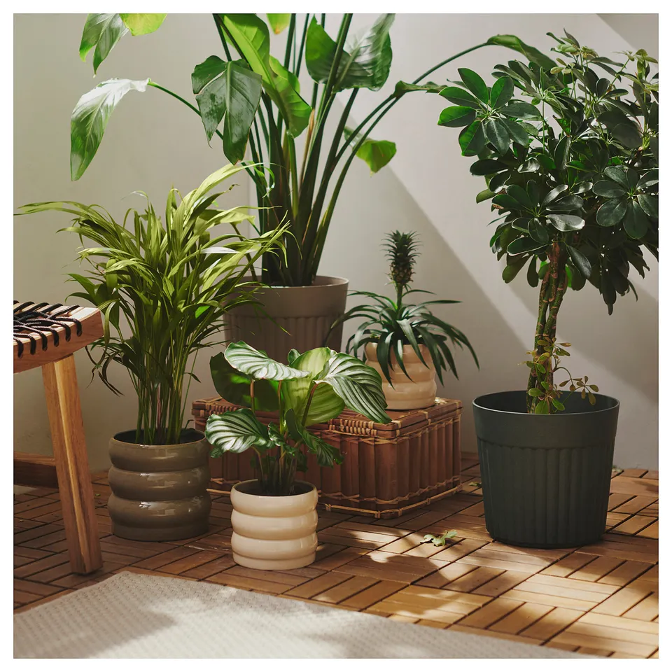 part: HASSELBUKETT plant pot