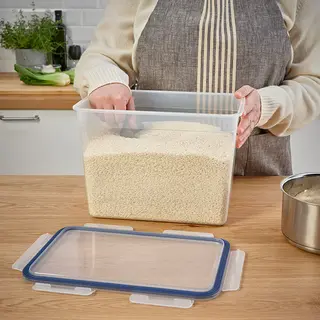 IKEA set: food container + lid