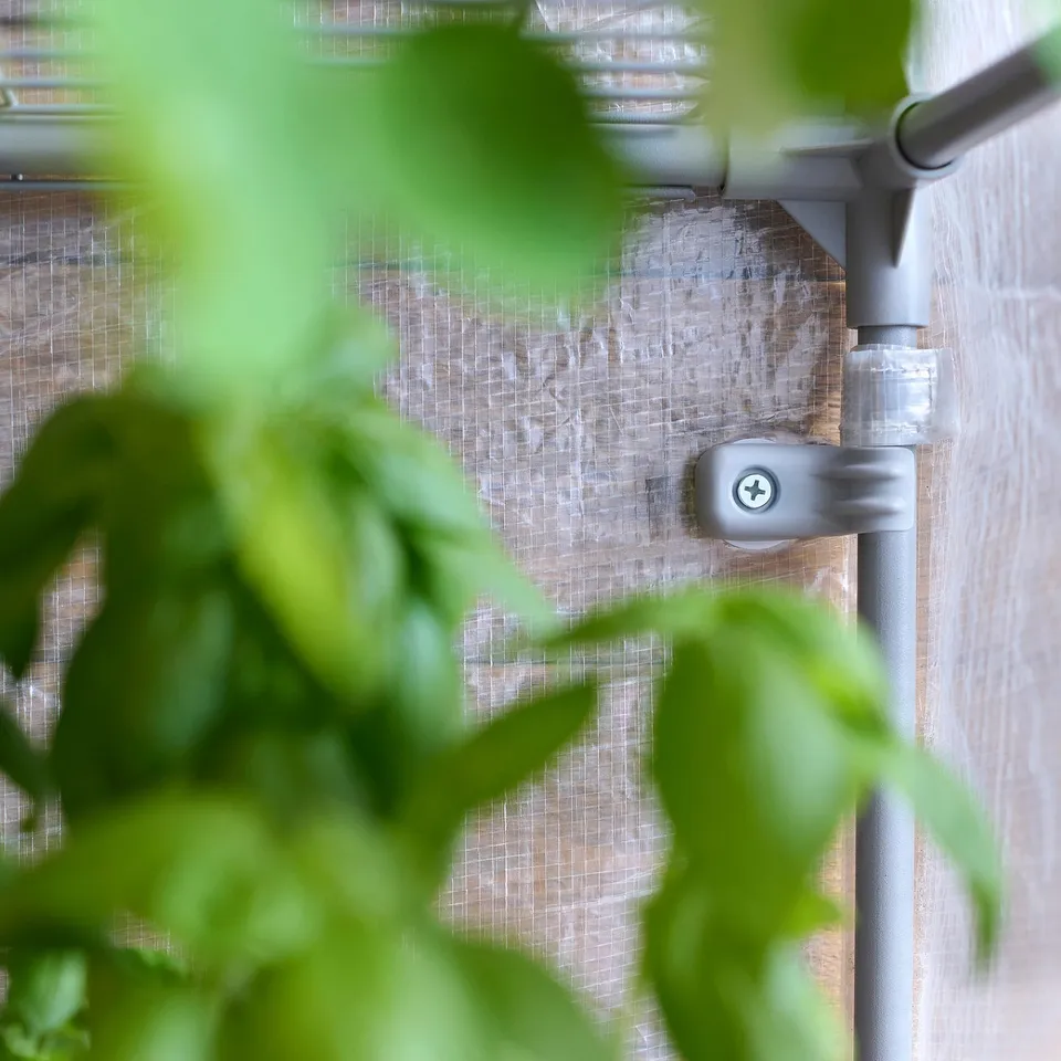 Close-up of an ASPAREN greenhouse structure with grey metal frame and mesh cover, surrounded by green leaves.