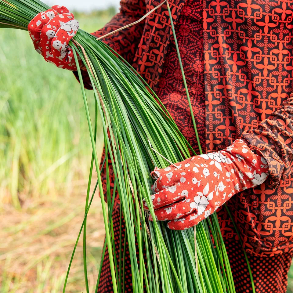 Person holding long green plants wearing red floral gloves.