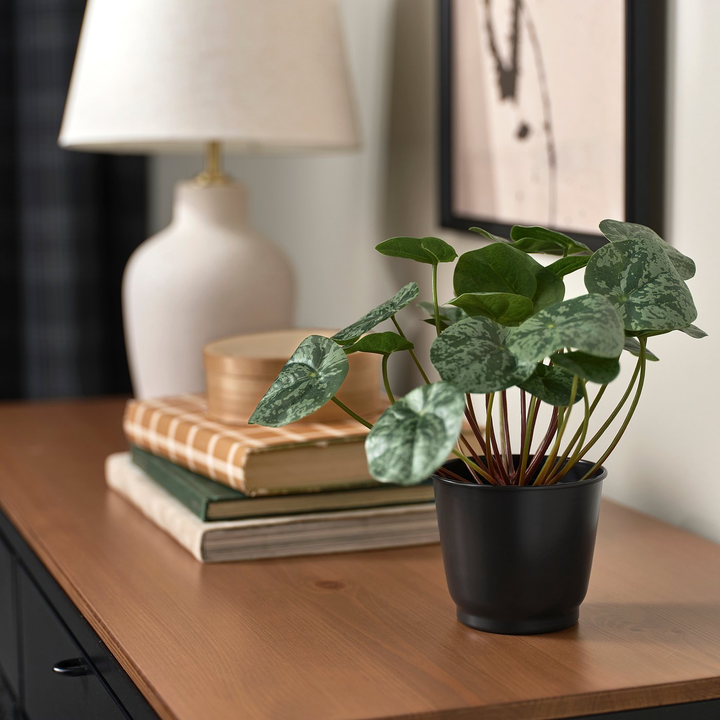 part: BROKTRAST plant pot