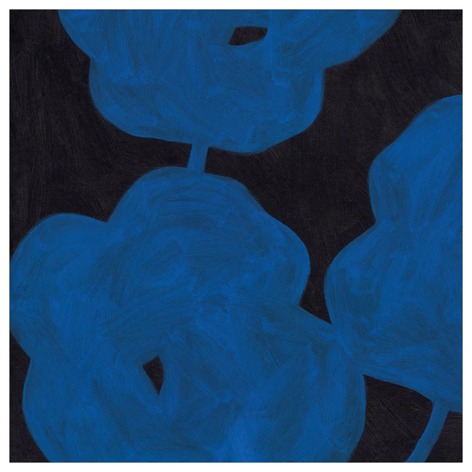 Ace poster: PJÄTTERYD, black with blue brush strokes, abstract flower design, polyester material.