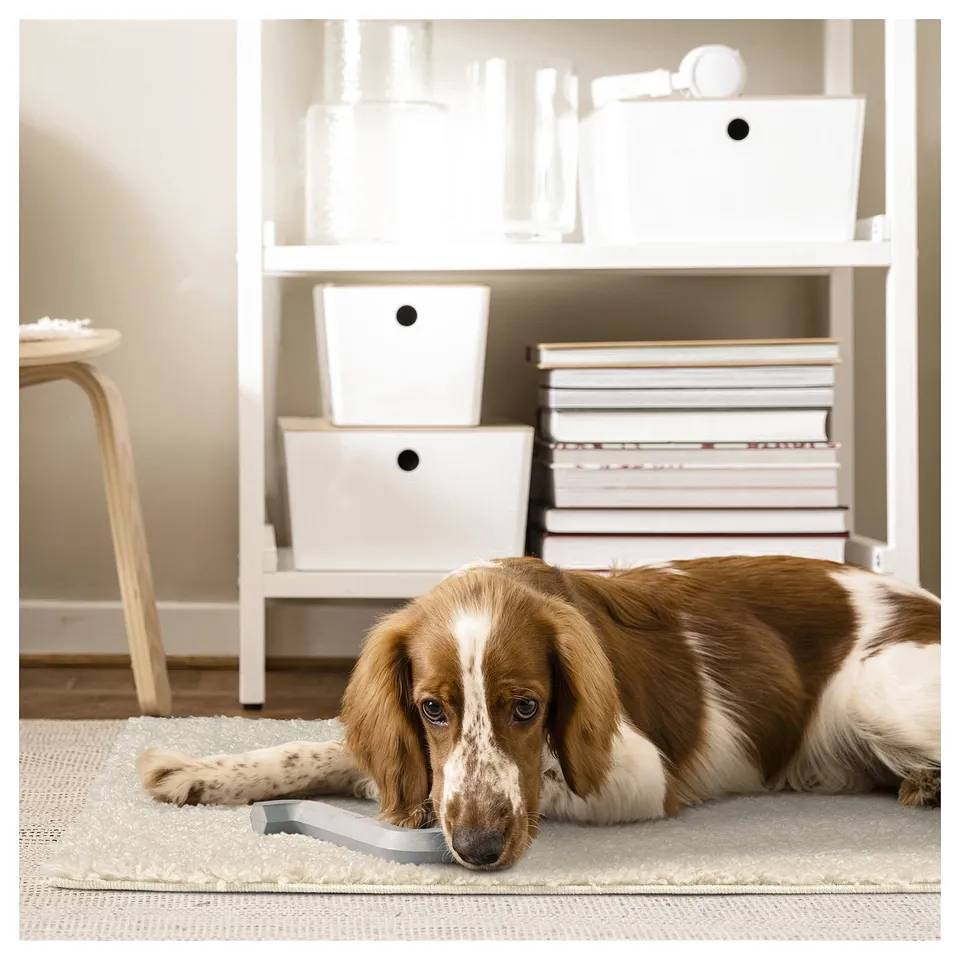 A cosy dog lies on a soft beige ÄRENDE rug in front of a white bookshelf with boxes and books.