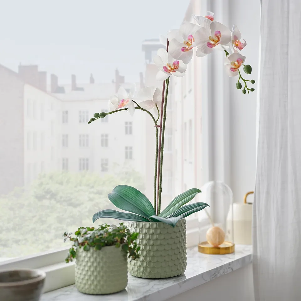 FEJKA Artificial potted plant, Orchid white, 12 cm