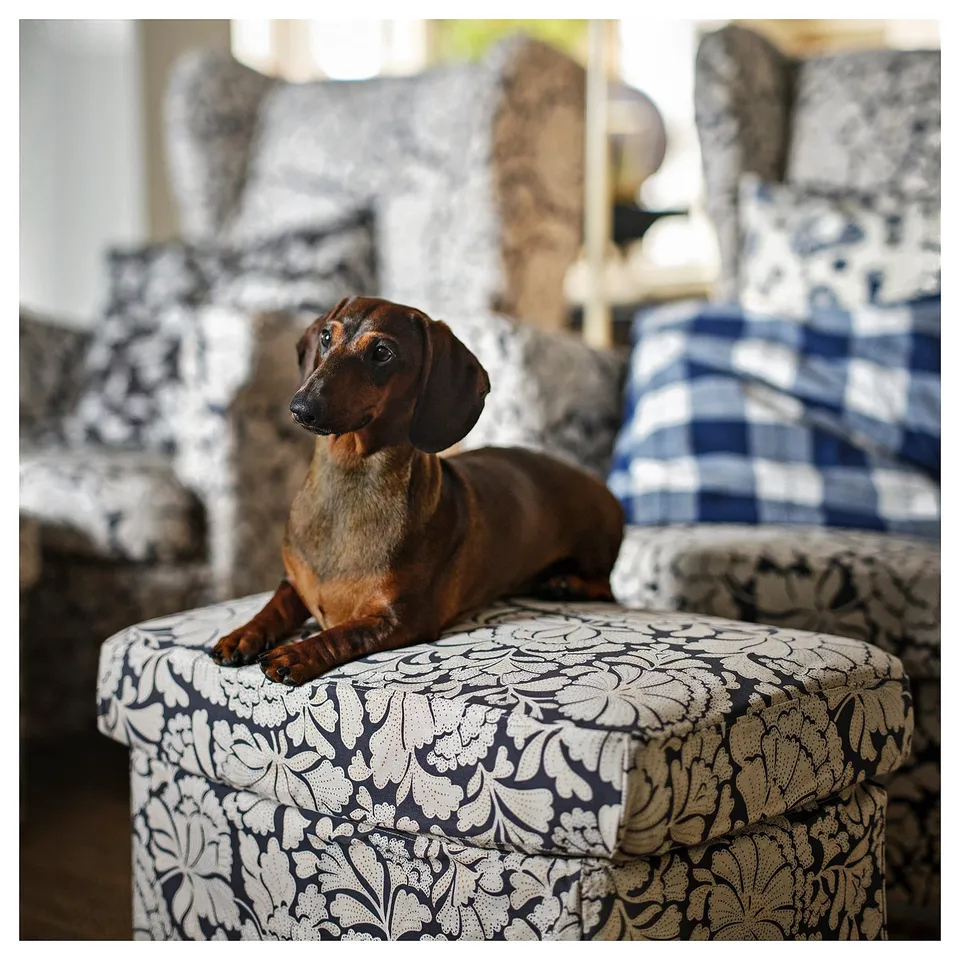 STRANDMON Slipcover for footstool, Ribersborg dark grey/beige