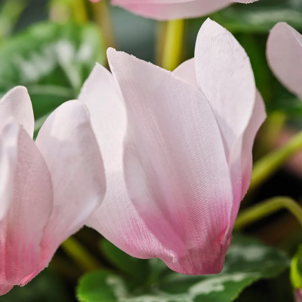 FEJKA Artificial potted plant, in/outdoor Alpine violet/light pink, 12 cm
