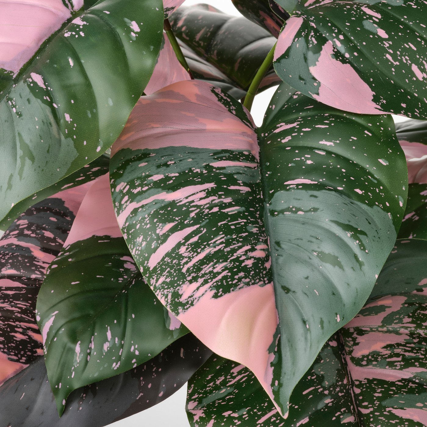Large, vibrant green leaves with pink splashes, lifelike and fresh, part of a FEJKA artificial plant, realistic and detailed.