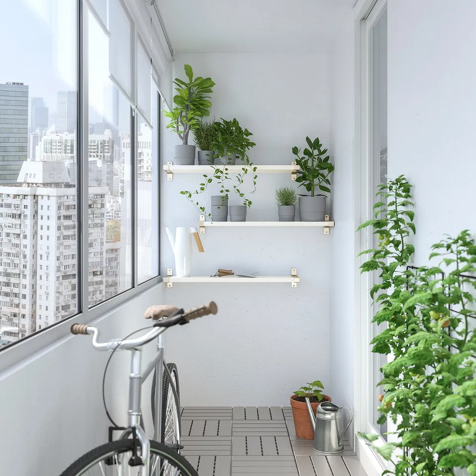 Balcony with plants, bike, city view. White shelves with potted plants by windows. Metal watering can.