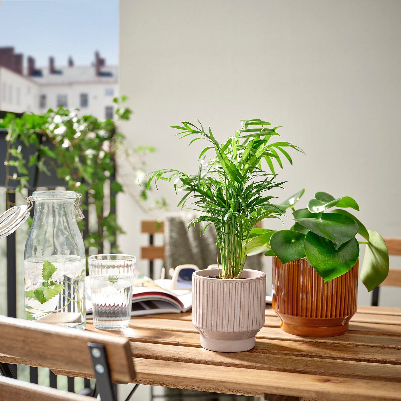 part: HONUNGSPALM plant pot