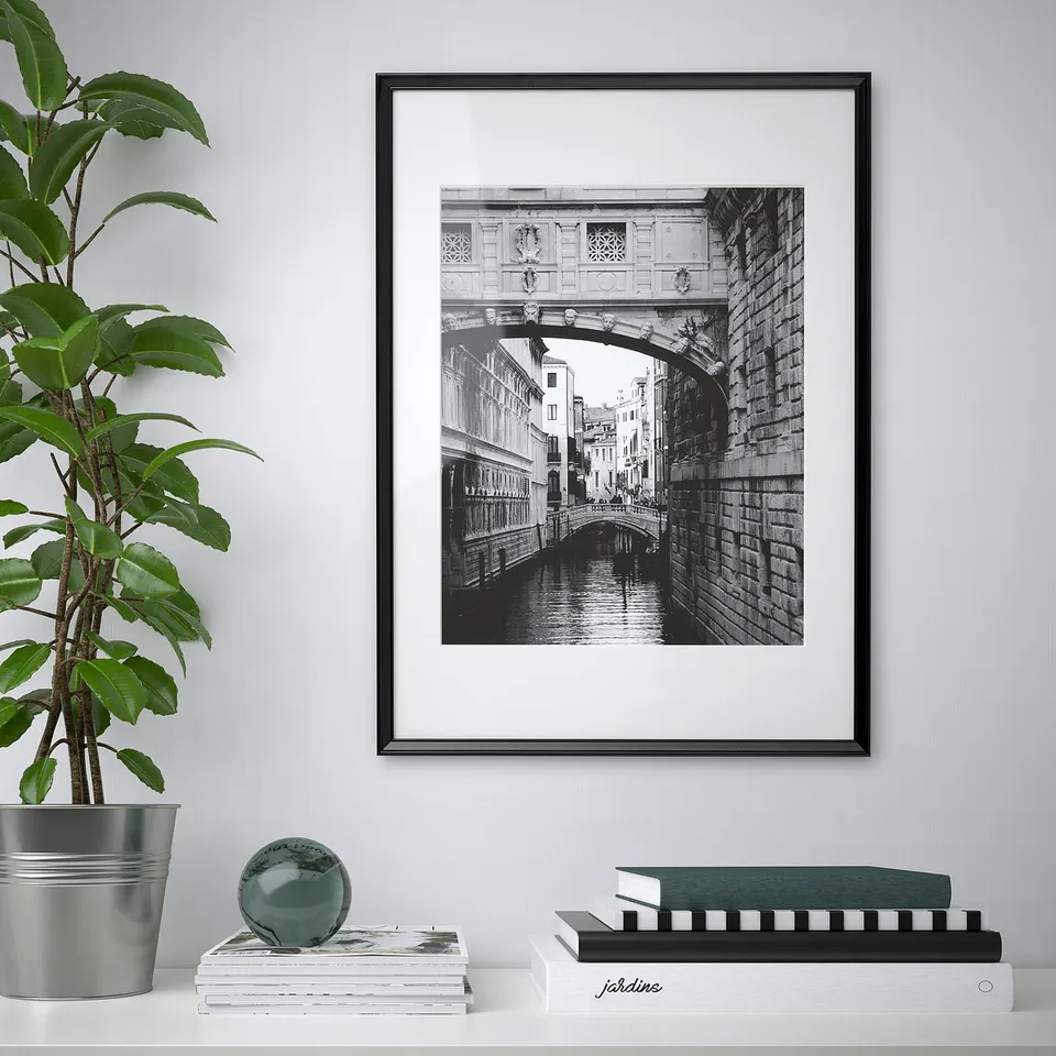 Framed black-and-white venice canal hangs on wall beside potted plant.