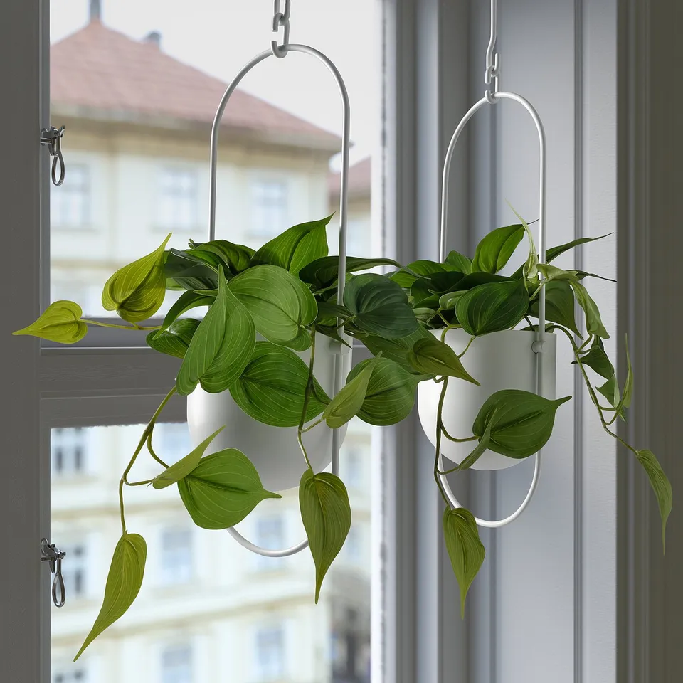 Hanging white pots with green plants, small, near window.