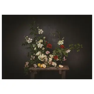 PJÄTTERYD picture, flowers-against a black wall, Width 70 x Height 50 cm