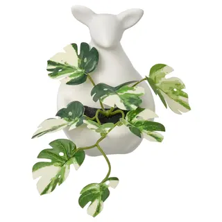FEJKA artificial potted plant, kangaroo
