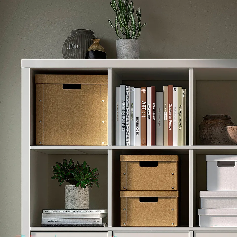 Shelf with brown cardboard boxes, books, and plants. Storage solution for home organisation.