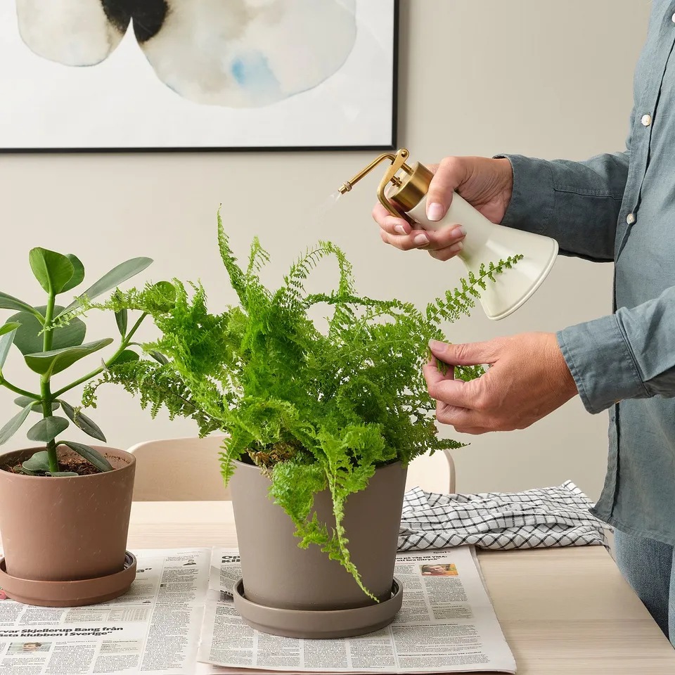 part: VATTENKRASSE plant mister