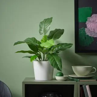 FEJKA/SOJABÖNA set: artificial potted plant + plant pot