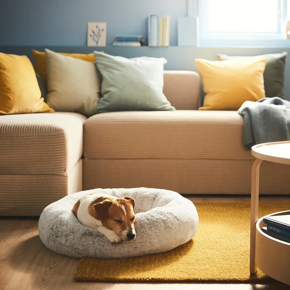 Cosy dog bed with non-slip base, calm pet inside.