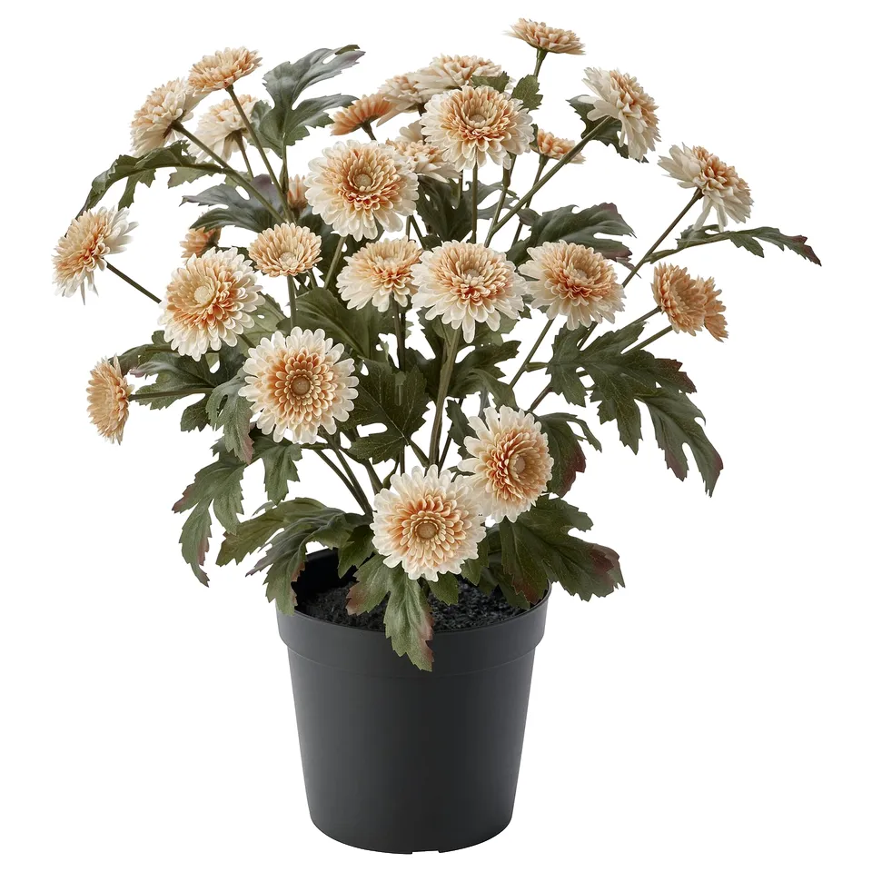 FEJKA Artificial potted plant, in/outdoor/Chrysanthemums light orange, 15 cm
