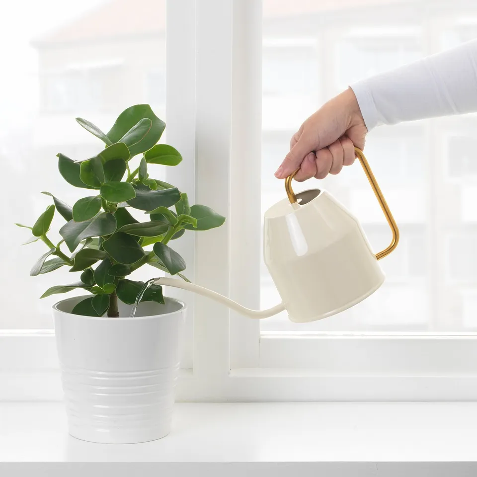 part: VATTENKRASSE watering can