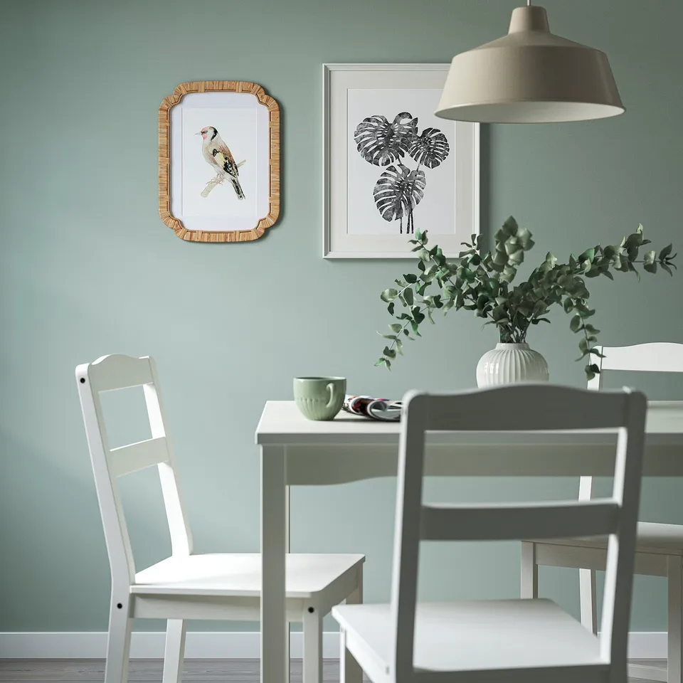 TRIVIALSKOG in a room