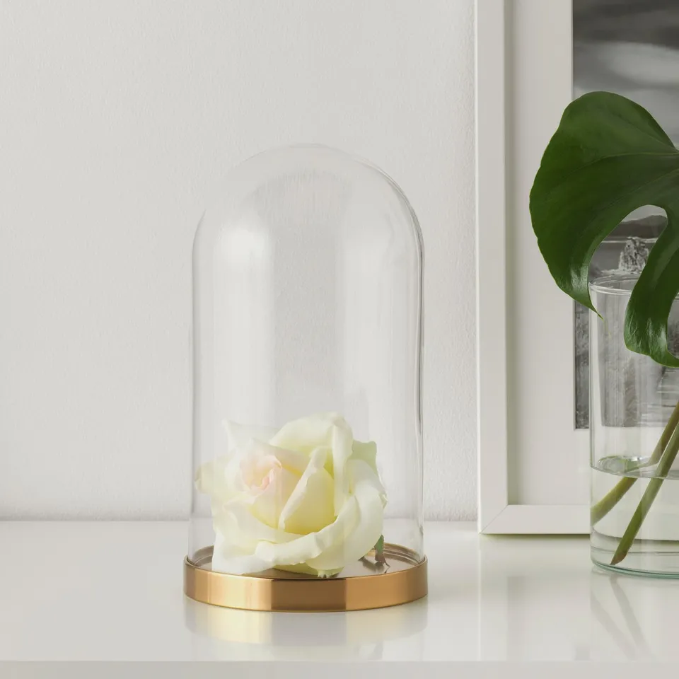 Clear glass dome with gold base displays a white rose, showcasing decor on a table.