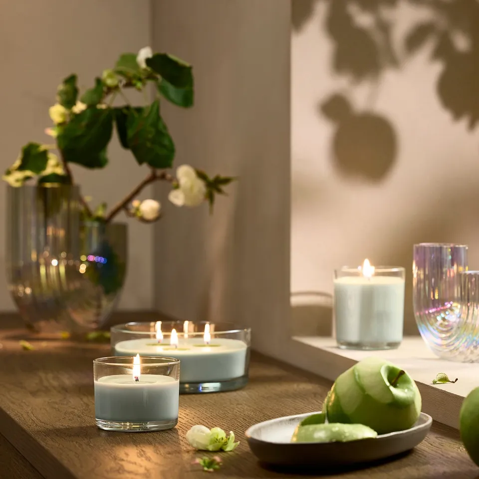 LOTSFÅGEL Scented candle in glass, Apple light green, 20 hr