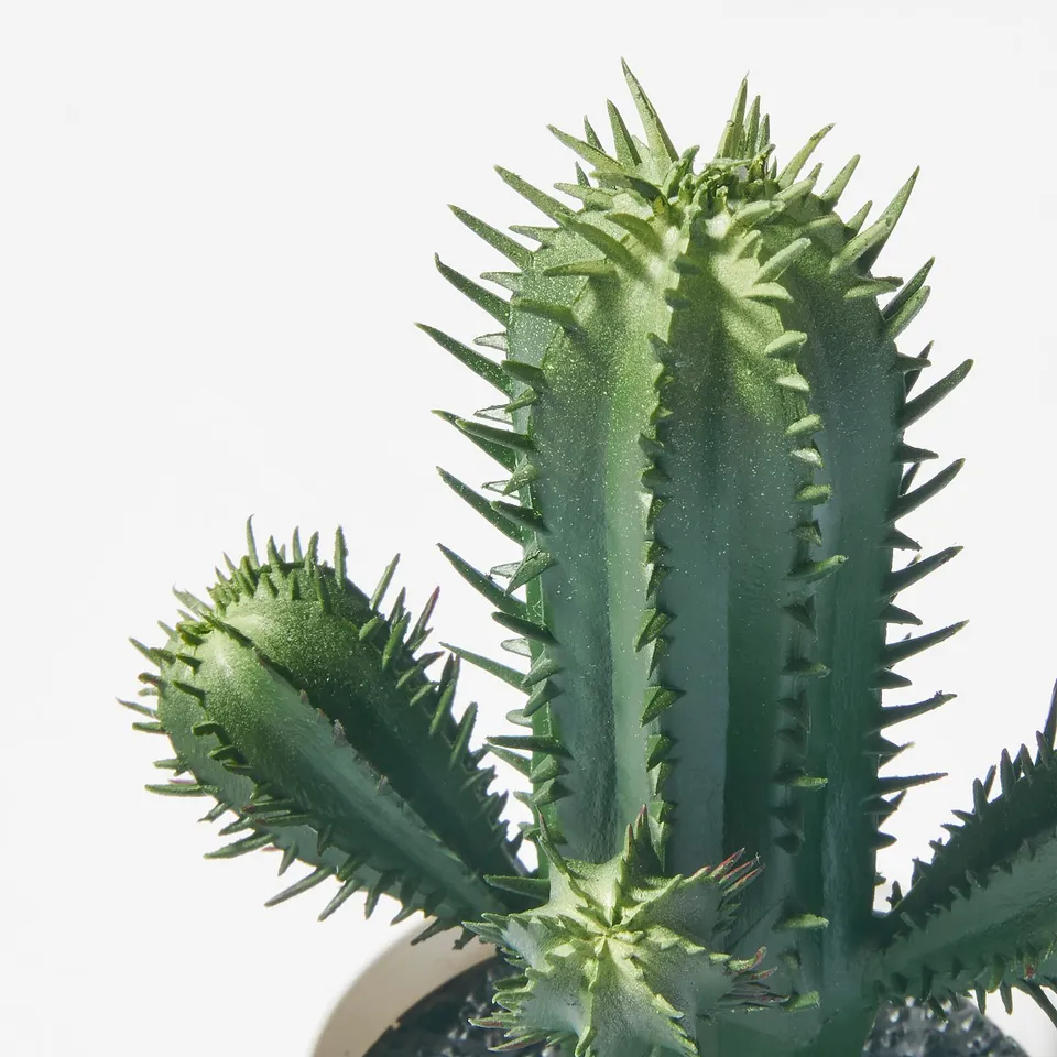 Lifelike indoor cactus with spiky green stems.