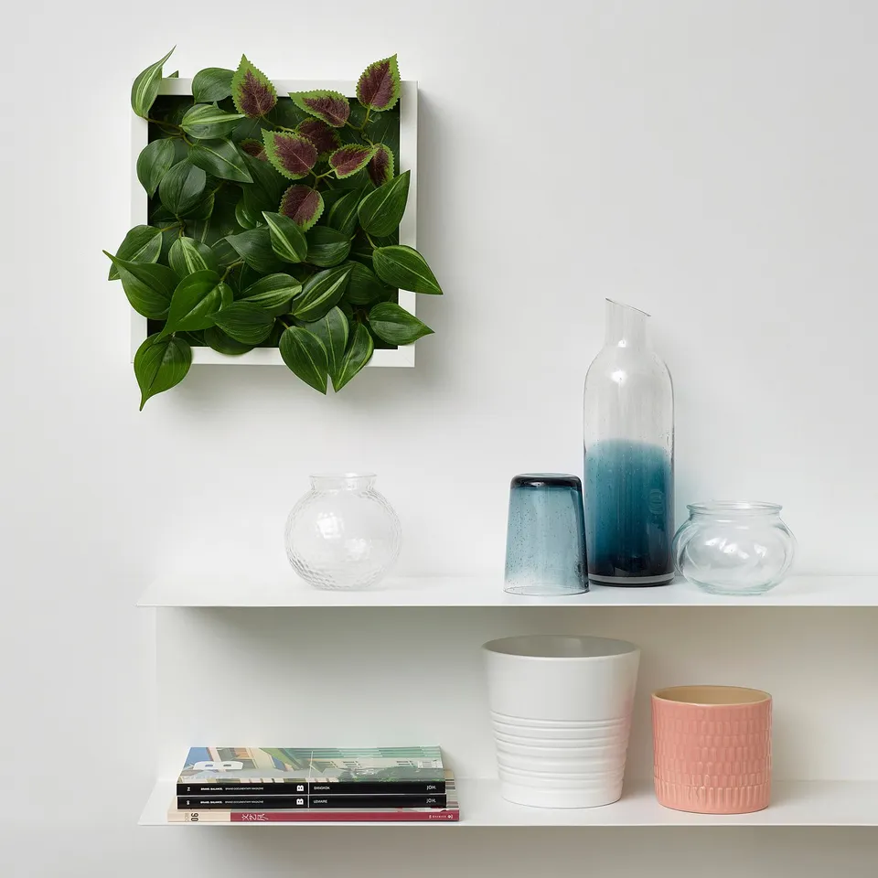 Wall-mounted green plants in white square frame on shelf with vases and books.