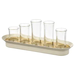 VATTENKRASSE propagation set, clear glass ivory/gold-colour, Length 26 x Height 10 x Width 8 cm