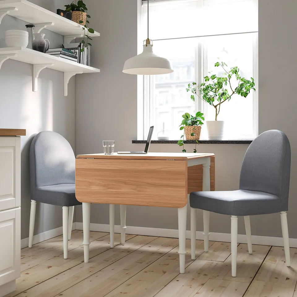 DANDERYD in a room