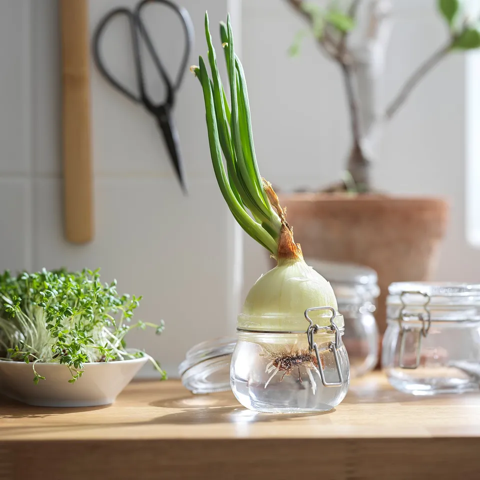KORKEN Jar with lid, clear glass, 0.5 l