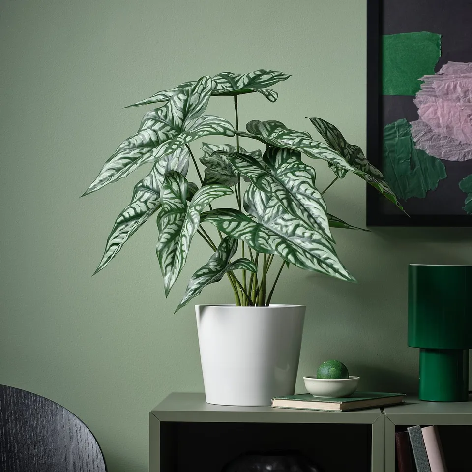 part: SOJABÖNA plant pot