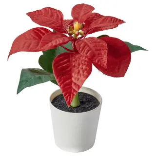 VINTERFINT artificial potted plant, in/outdoor Poinsettia/red, 6 cm