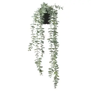 FEJKA artificial potted plant, in/outdoor hanging/eucalyptus, 9 cm
