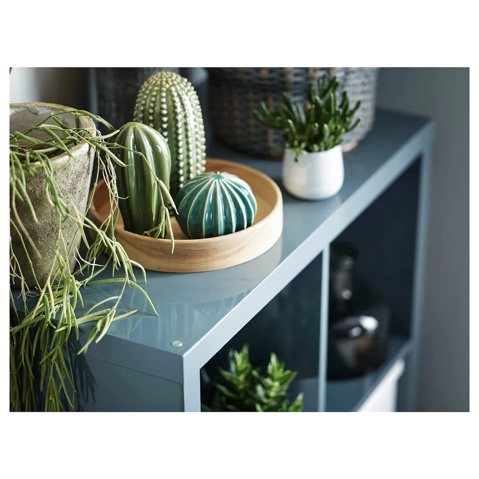 Blue shelf with green ceramic cacti and real plants. Modern minimalist design.