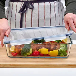 IKEA set: food container + lid