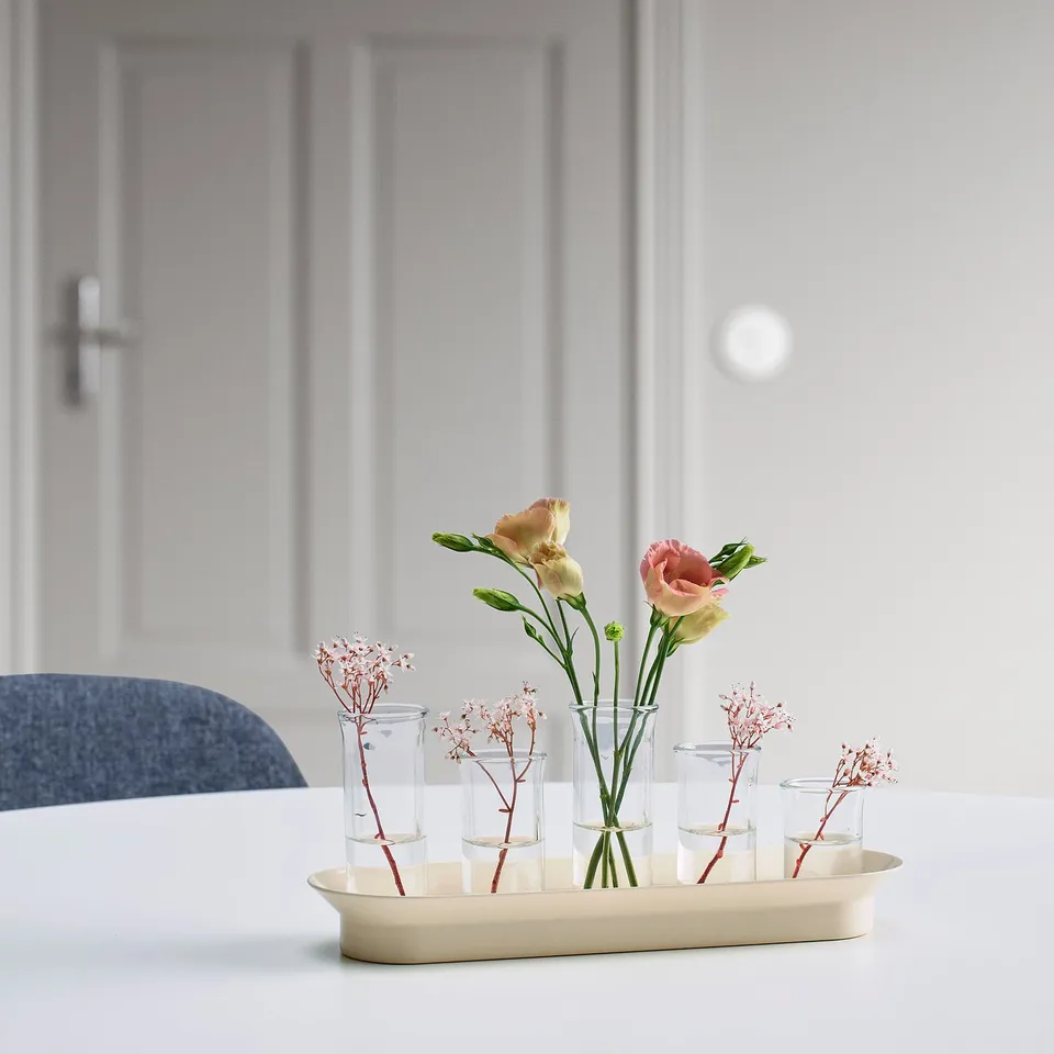 VATTENKRASSE: small glass propagation set on tray, minimalist design, holding pink flowers & stems, on a white surface.