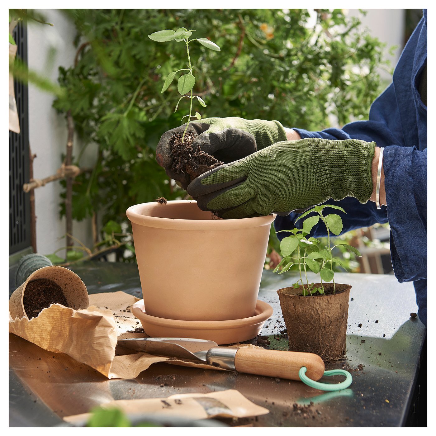 part: MUSKOTBLOMMA plant pot with saucer