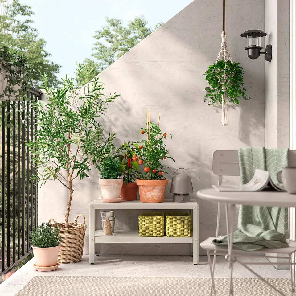 Cosy balcony with white walls, black railing, green plant, tomato pot, and basket under hanging plant.