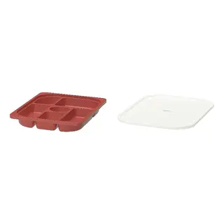 box + lid set: storage tray with compartments + lid