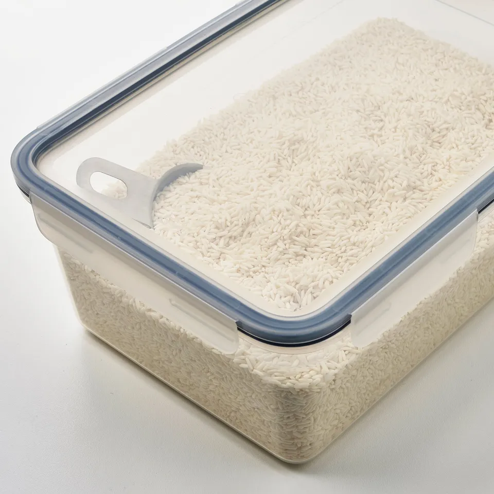 Clear rectangular container with blue lid full of white rice. The lid has a snap-lock mechanism.