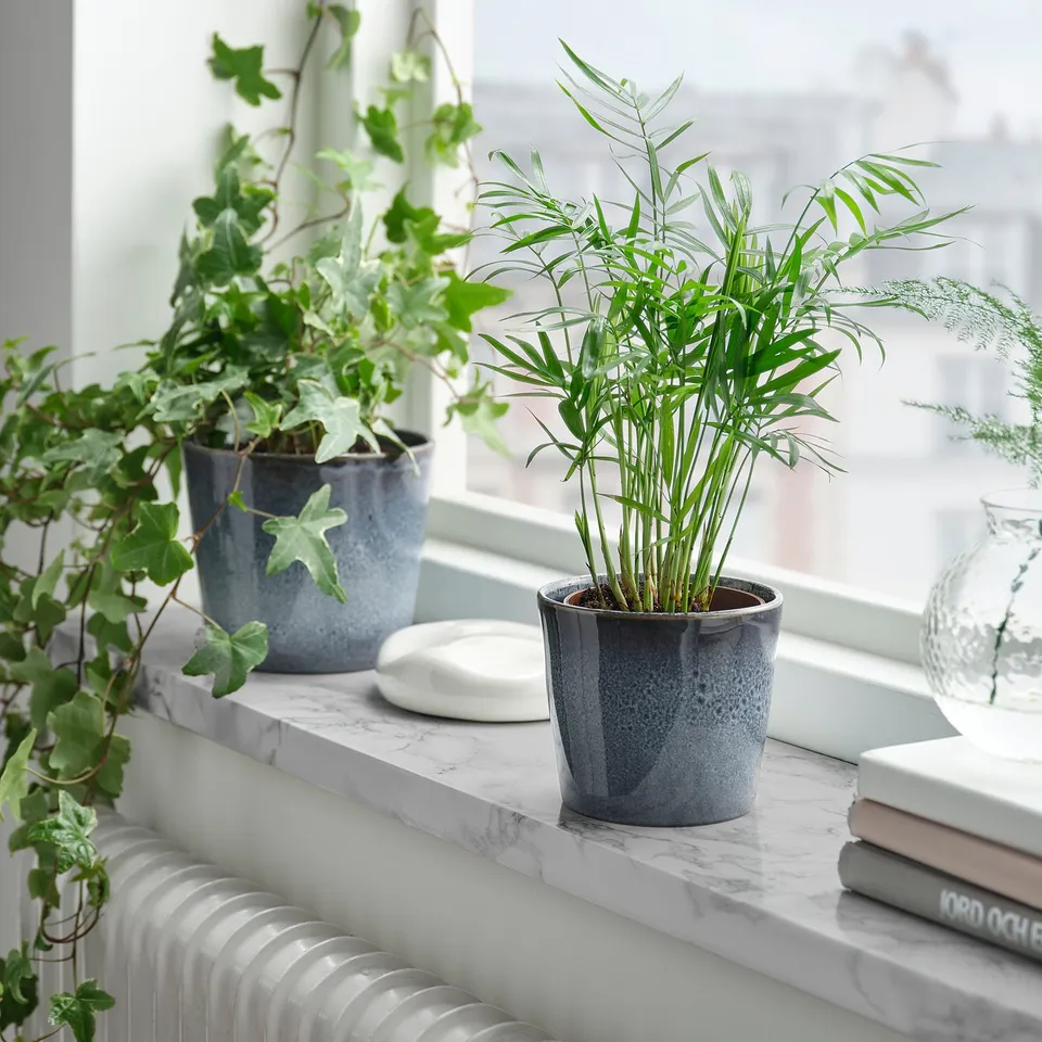 part: FJÄRILSBUSKE plant pot