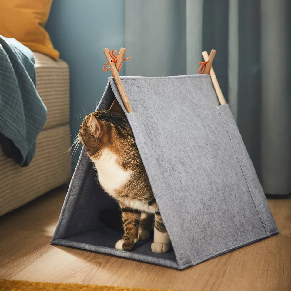 Cat leaving grey tent, inside.