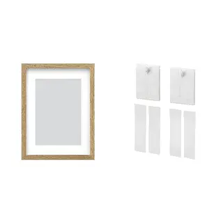 frame + adhesive hook ×2