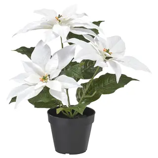 VINTERFINT artificial potted plant, in/outdoor Poinsettia/white