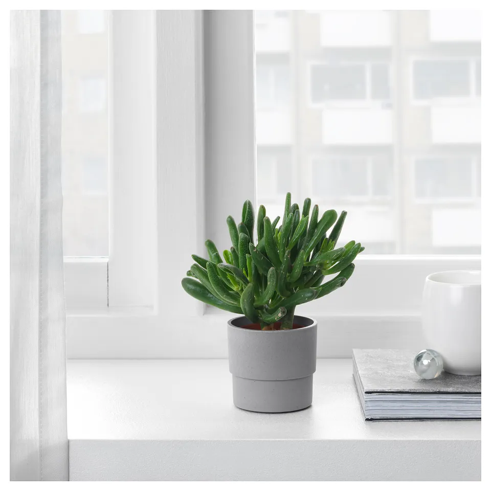 part: NYPON plant pot