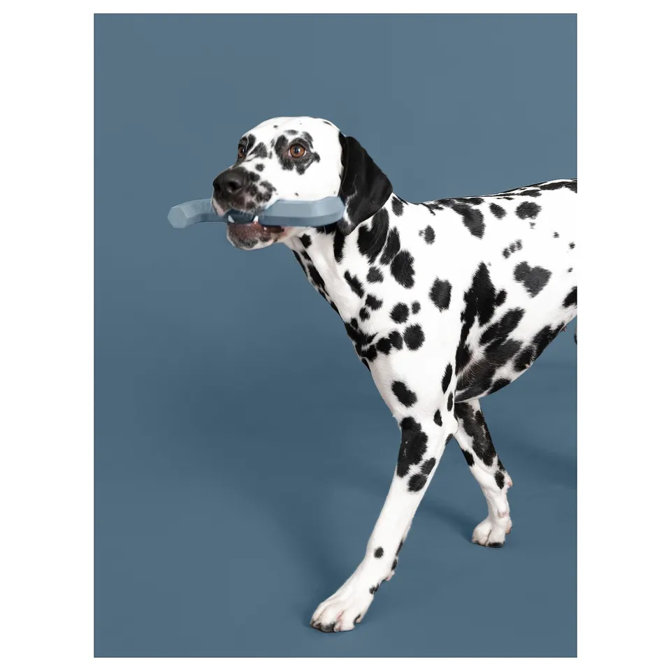 Dalmatian with allen key toy