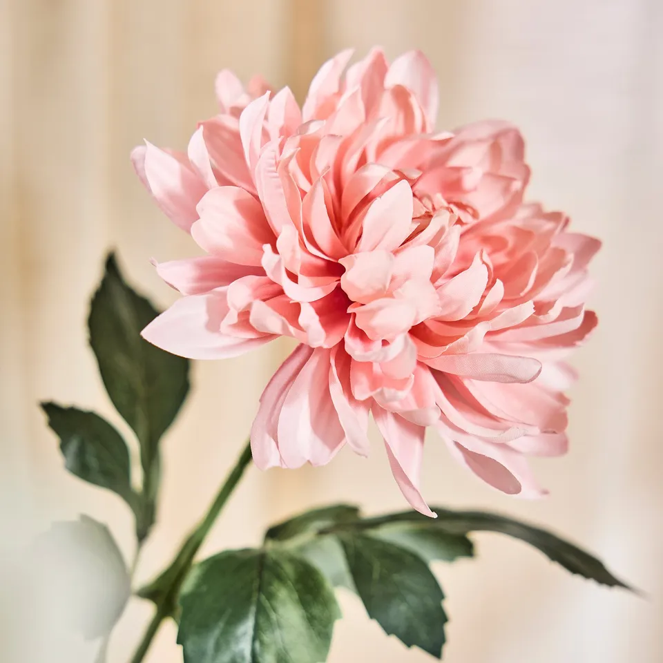 SMYCKA Artificial flower, in/outdoor Dahlia/light pink, 67 cm