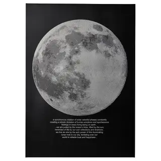 PJÄTTERYD picture, moonlight, 50x70 cm